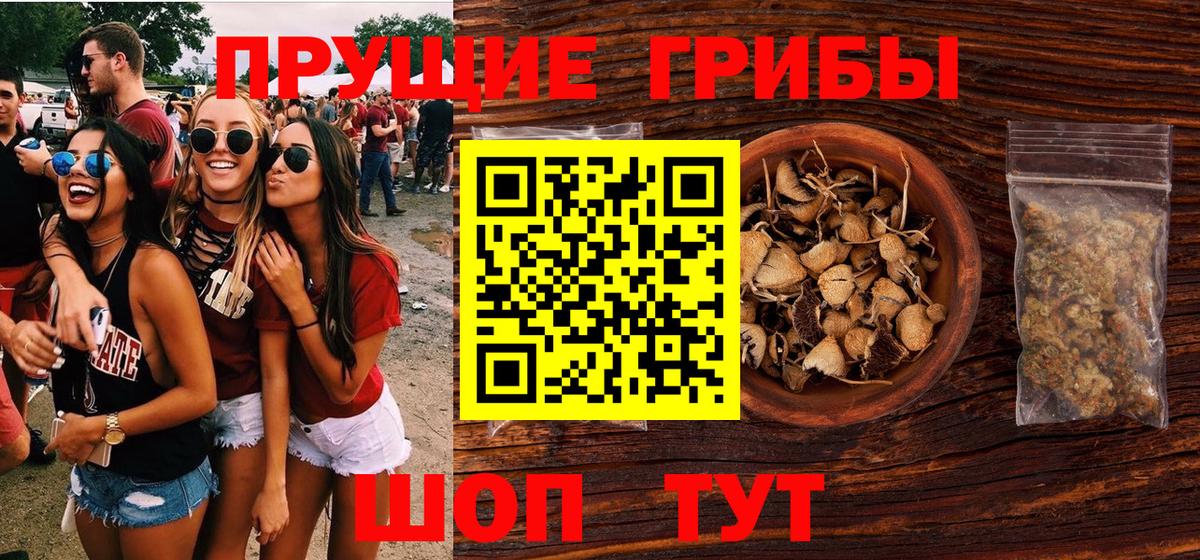 как найти   Галлюциногенные грибы мицелий  Вход с VPN  Реж 